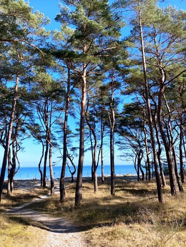 Direkter Strandzugang vom Apartmentgebäude