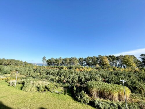 Blick Richtung Ostsee